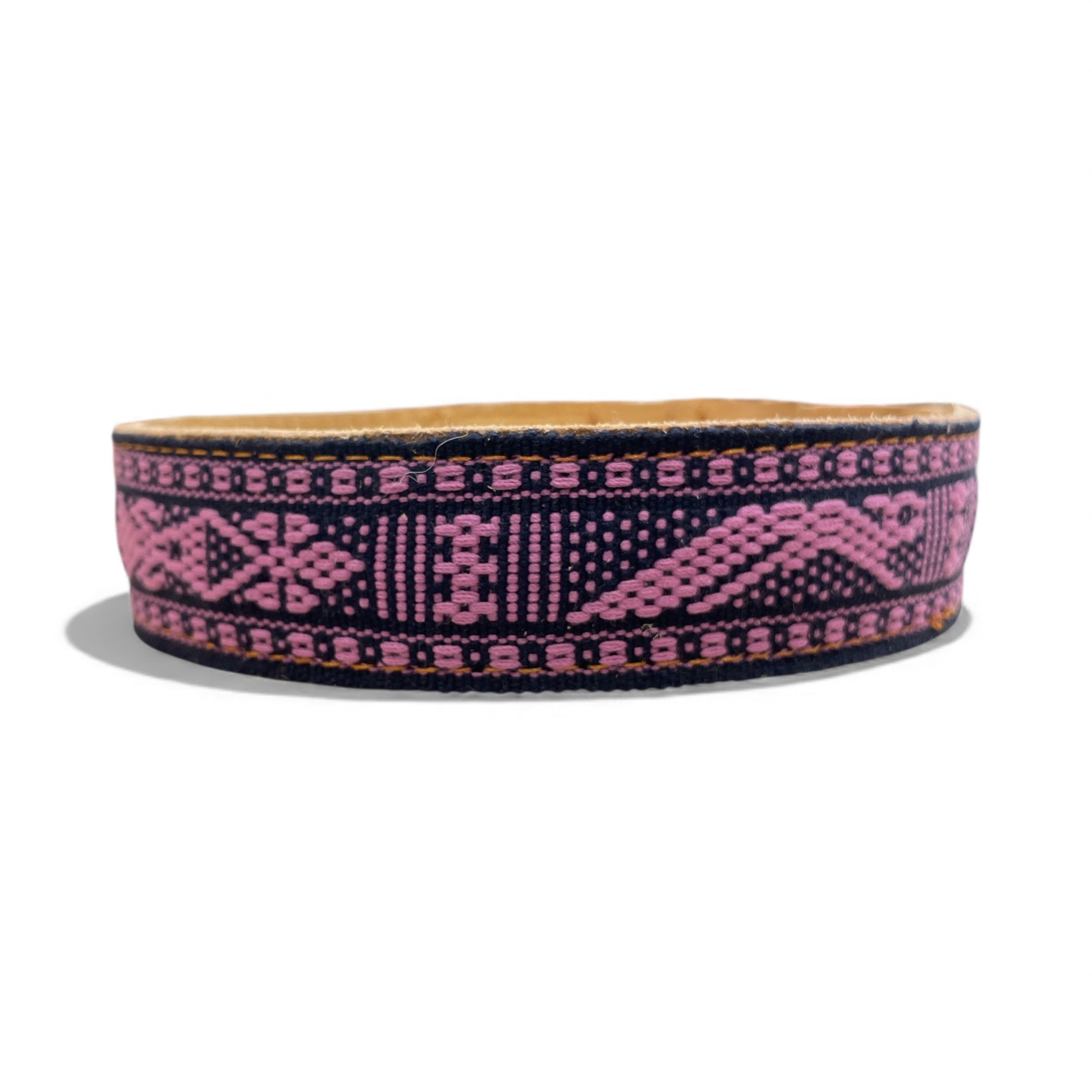 collare per animale domestico