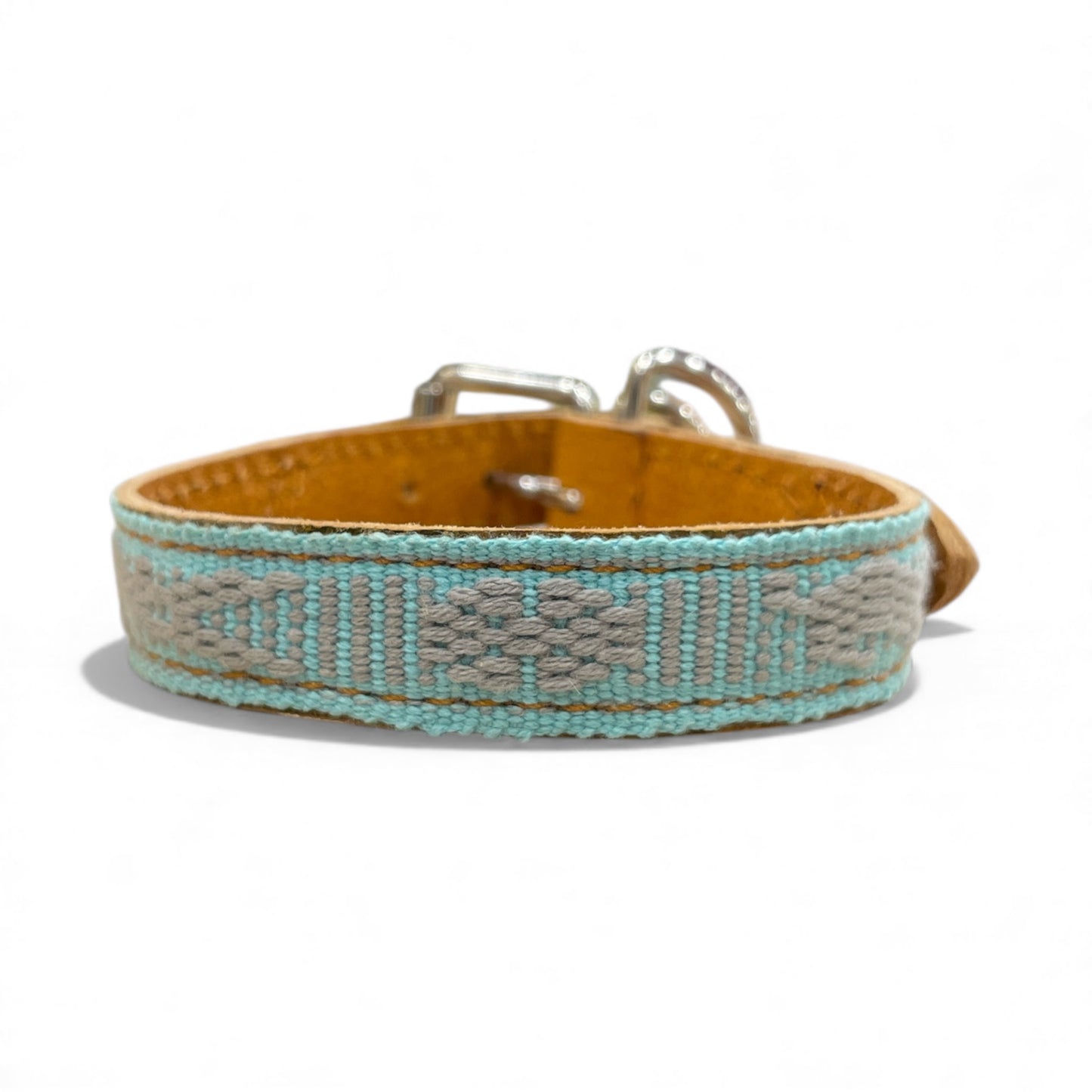 collare picollo animale domestico