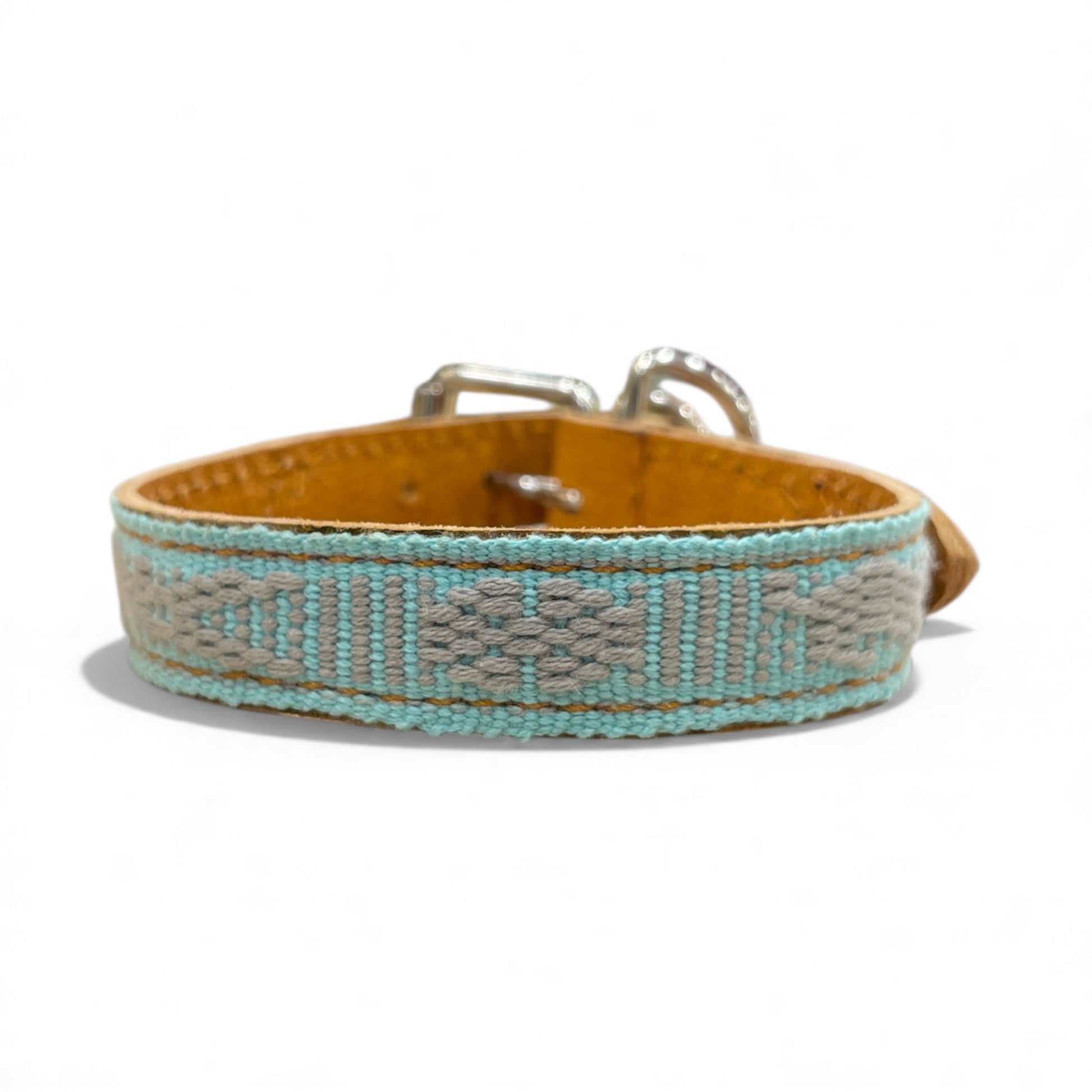 collare picollo animale domestico