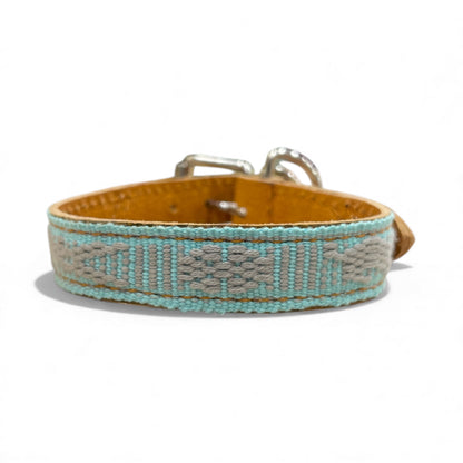 collare picollo animale domestico