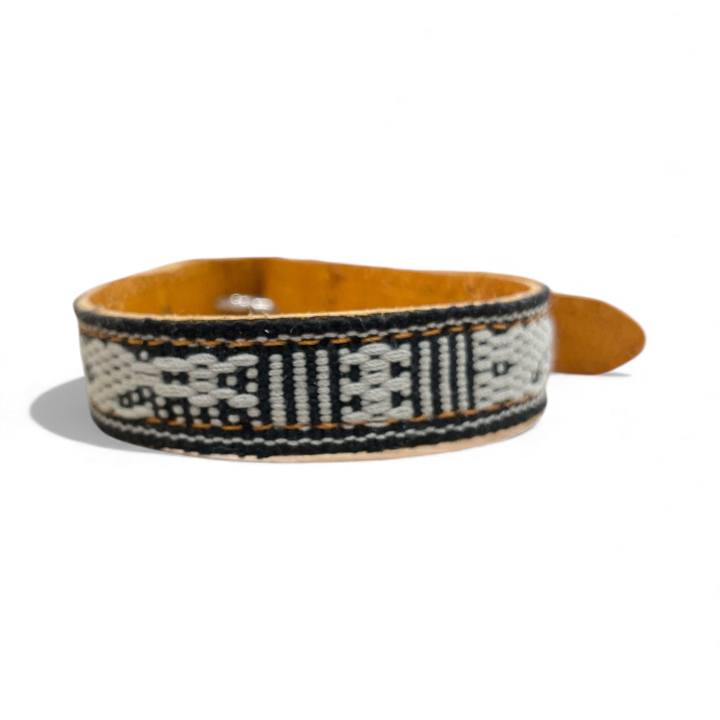 collare animale domestico piccolo