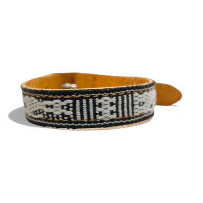 collare animale domestico piccolo