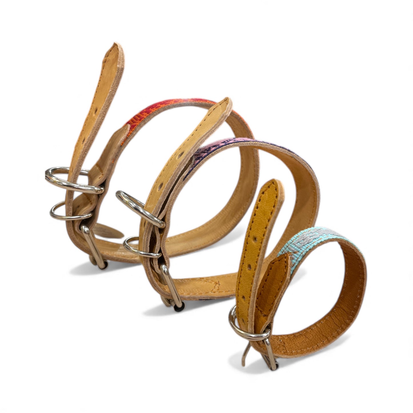 collare animale domestico