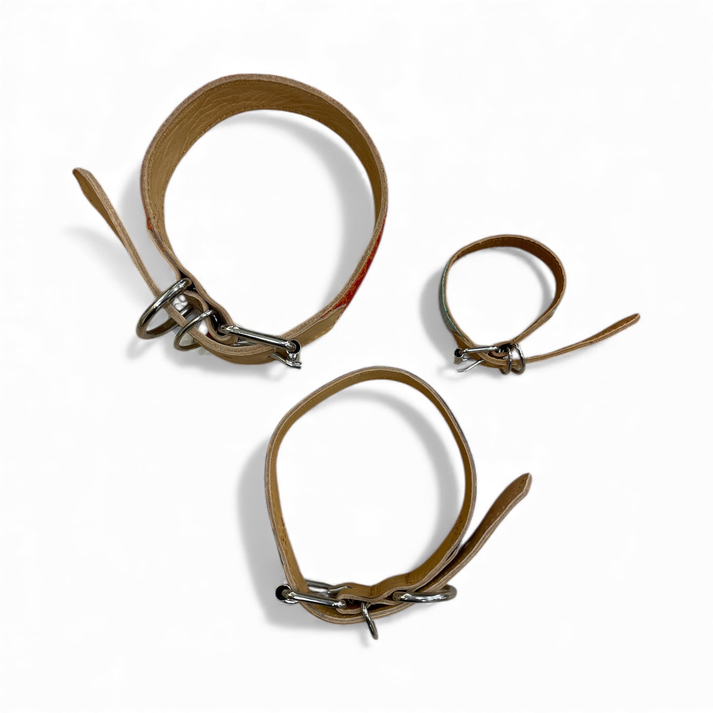 collare animale domestico piccolo medio grande cane gatto