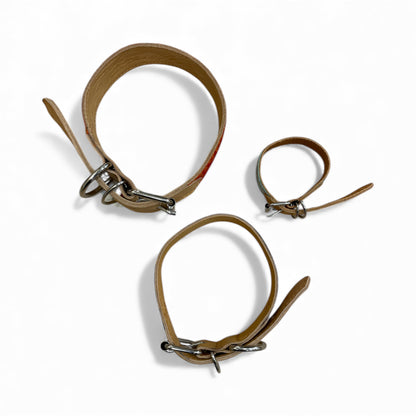 collare animale domestico piccolo medio grande cane gatto