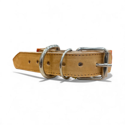 collare animale domestico piccolo