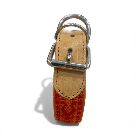 collare animale domestico