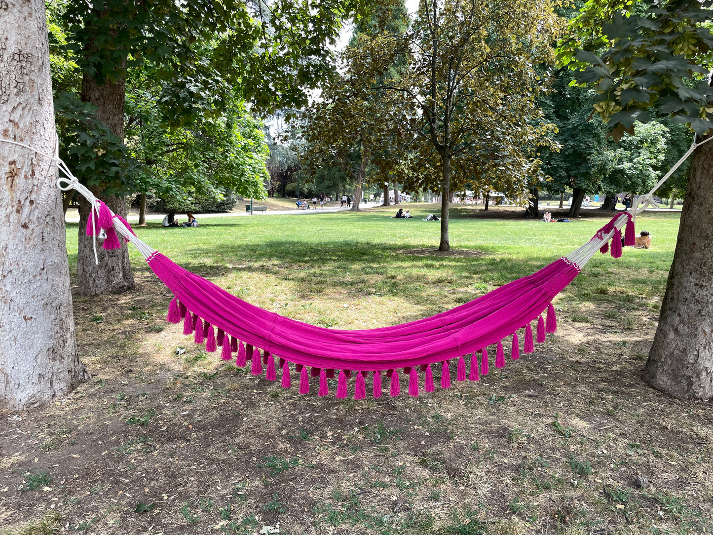 AMACA PARCO SEMPIONE MILANO FUCSIA
