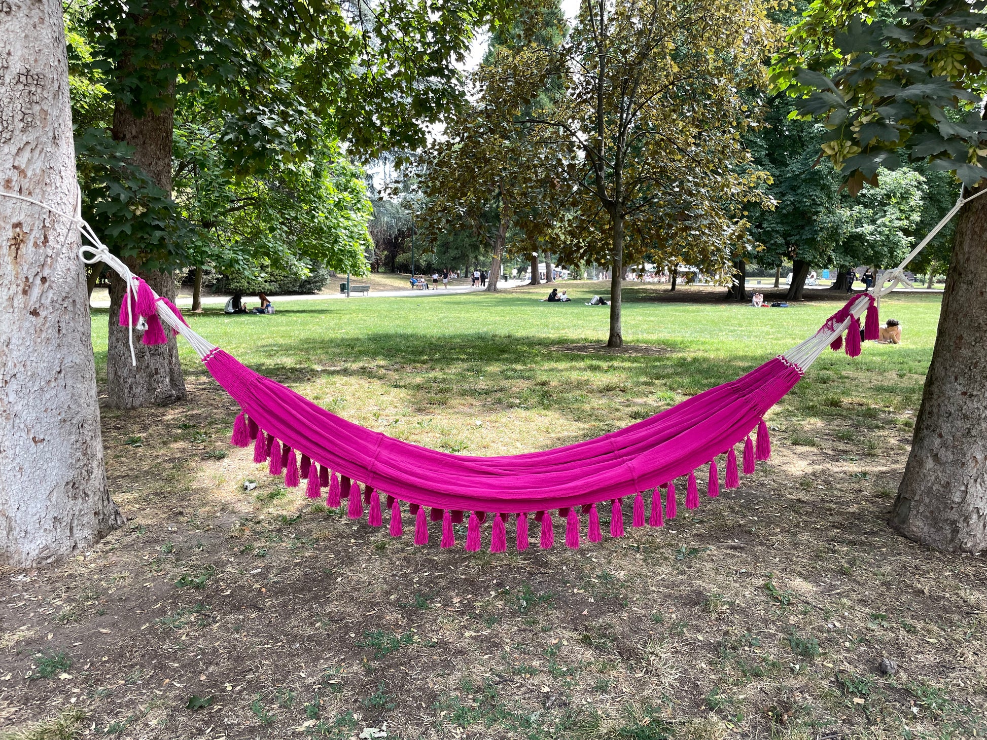 AMACA PARCO SEMPIONE MILANO FUCSIA