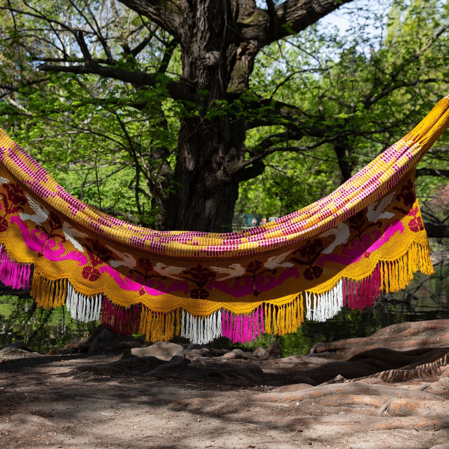 Chinchorro Wayuu Colombian Deluxe Mustard 3.60x2.20m